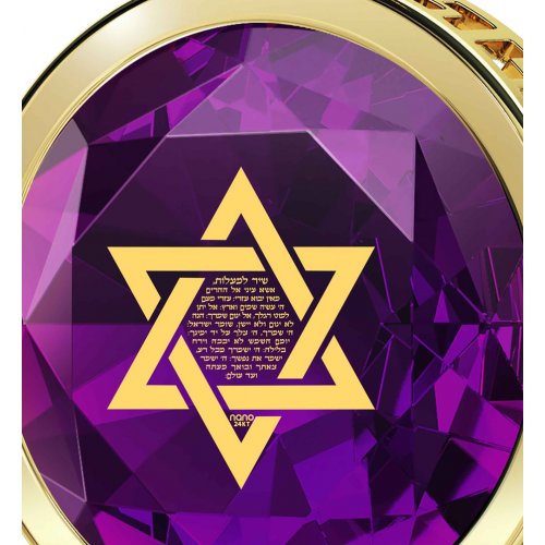 Nano Jewelry Gold Plated Round Star of David Jewelry with Song of Ascents - Purple