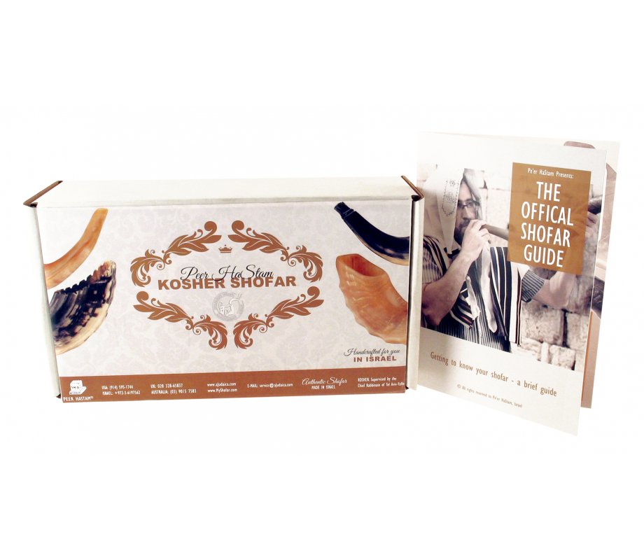 Natural Black Ram's Horn Shofar with Bag and Cleaning Spray Gift Set