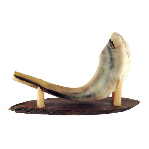 Oval Wood Shofar Stand with Kudu Tips Support - for Rams Horn Length 11-18