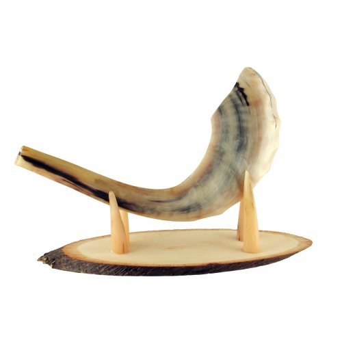 Oval Wood Shofar Stand with Kudu Tips Support - for Rams Horn Length 11-18