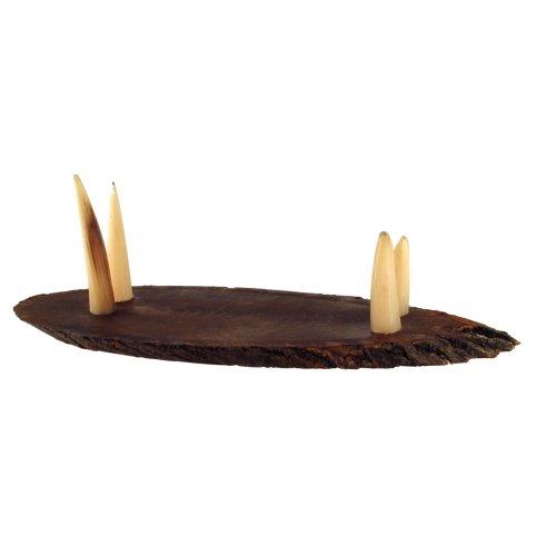 Oval Wood Shofar Stand with Kudu Tips Support - for Rams Horn Length 11-18