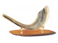 Oval Wood Shofar Stand with Lucite Clips  For Rams Horn Length 11-18 Inches