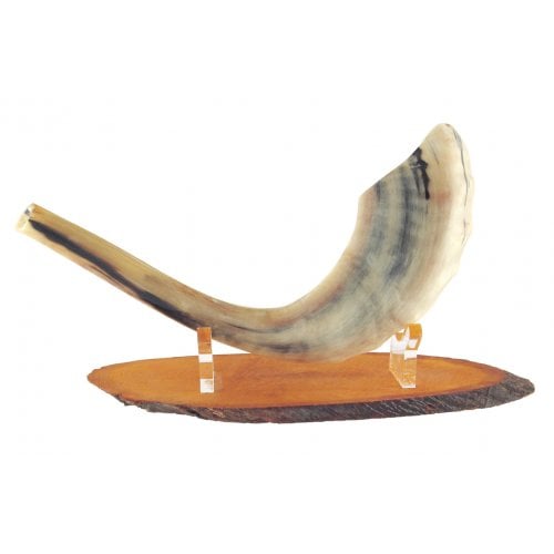 Oval Wood Shofar Stand with Lucite Clips  For Rams Horn Length 11-18 Inches