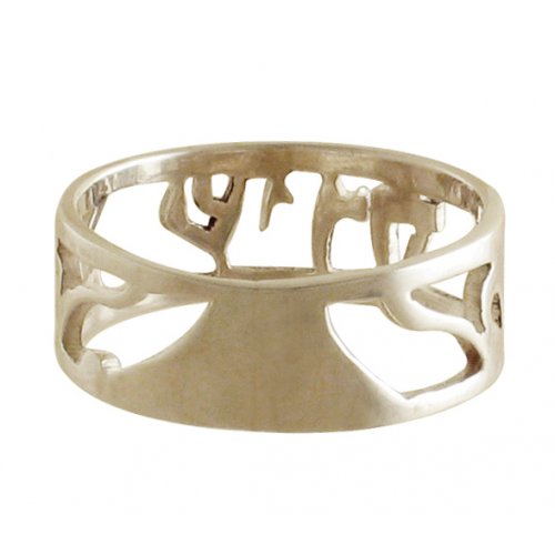 Personalized Hebrew Name Silver Ring - Link to the Past