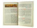 Pesach Haggadah with French Translation - Softcover