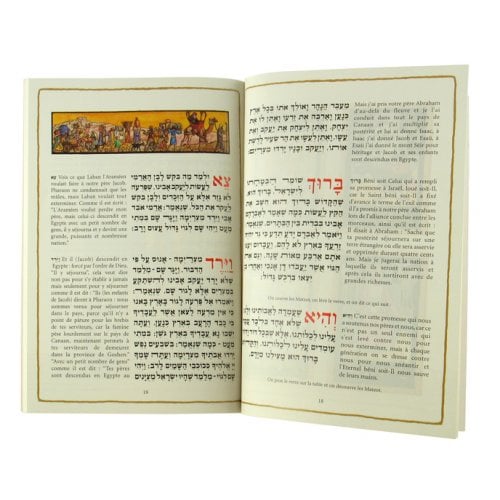 Pesach Haggadah with French Translation - Softcover