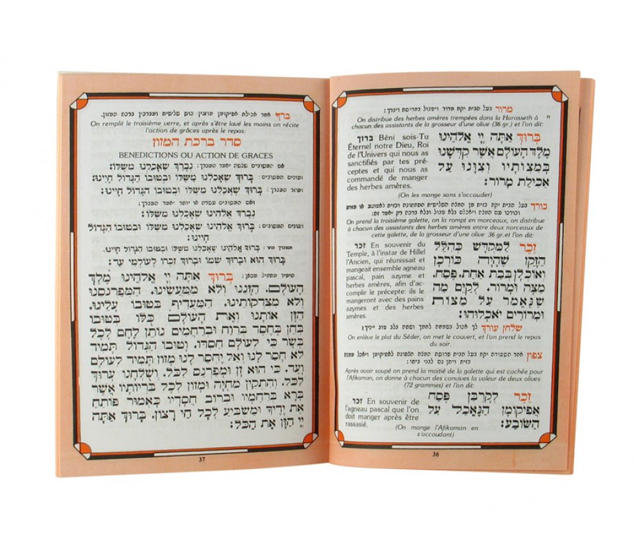Pesach Haggadah with French Translation - Softcover