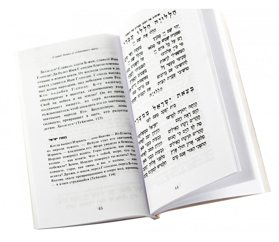 Pesach Haggadah with Russian Translation - Softcover | aJudaica.com