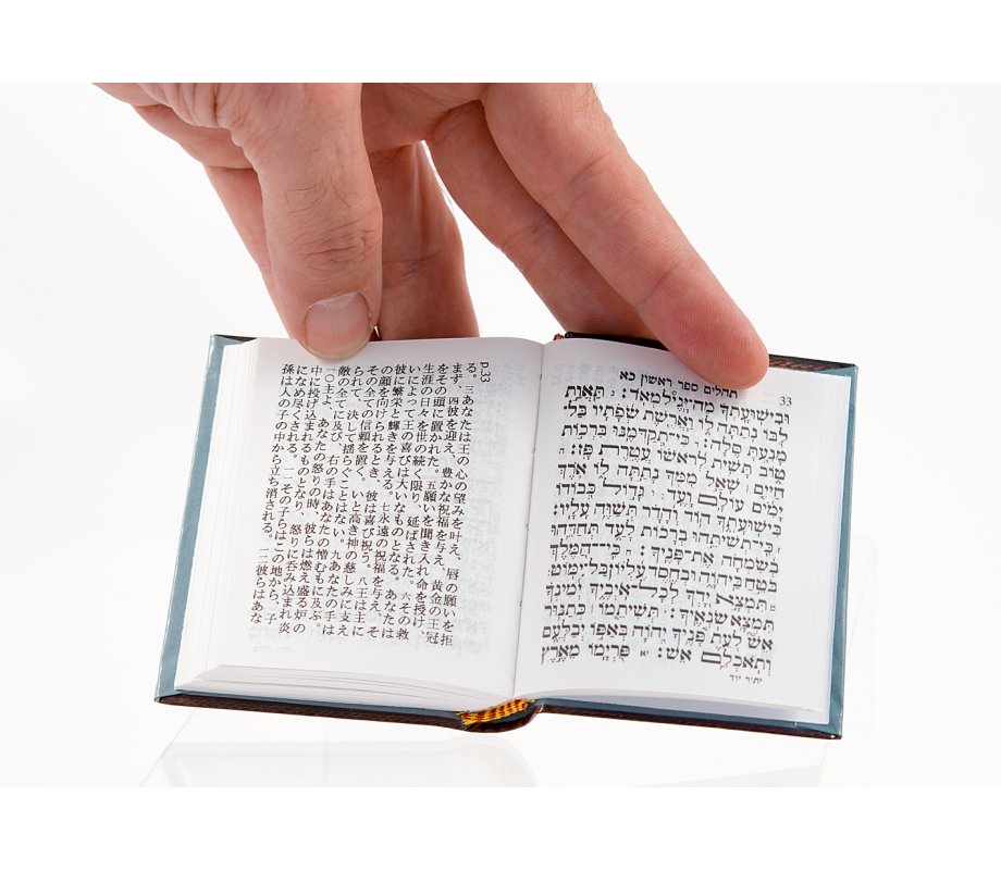 Pocket Size Book Of Psalms With Chinese Translation AJudaica