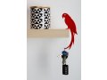 Polly's Tail Shelf Hanger by Art Ori