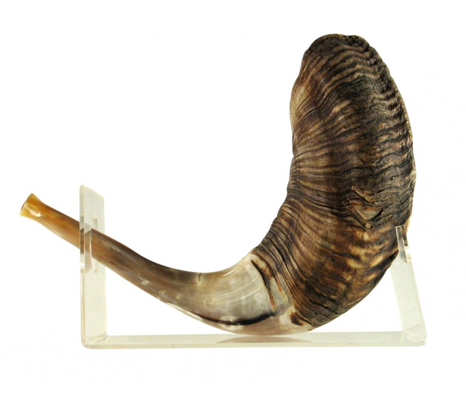 Ram's Horn Lucite Shofar Stand for Large Shofar 18-23 Inches Length