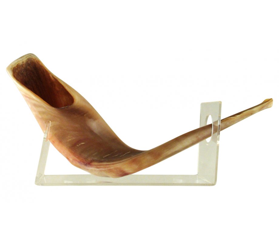 Ram's Horn Lucite Shofar Stand for Large Shofar 18-23 Inches Length