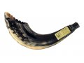 Ram's Horn Shofar Moroccan Style Dark Color with Crown Cut