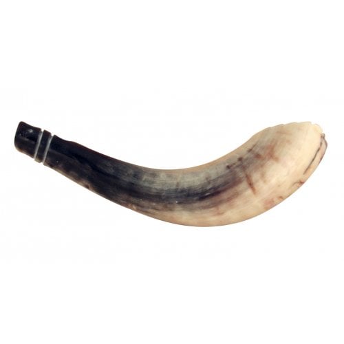 Ram's Horn Shofar Moroccan Style Light Color with Crown Cut