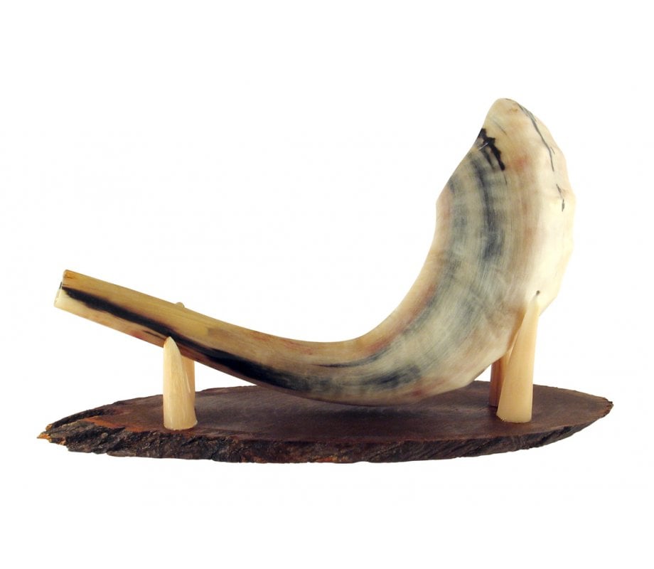 Ram's Horn Shofar Stand Made of Wood and Kudu Horn