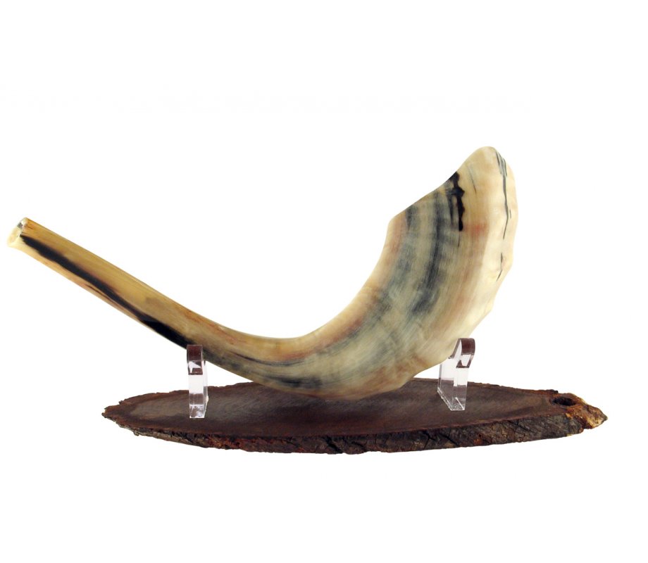 Ram's Horn Shofar Stand Made of Wood and Lucite