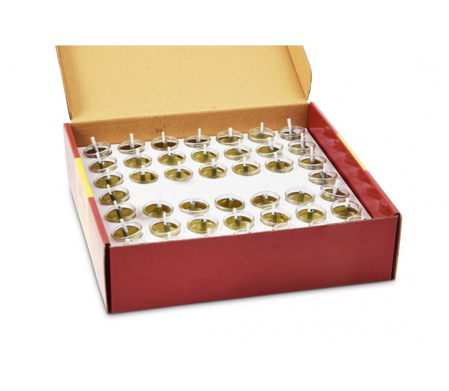 Ready to Light Pre filled Cups with Gel Olive Oil for Chanukah Menorah,- Medium