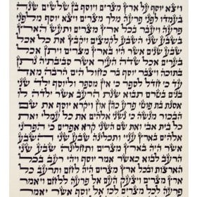 Our Torah Scrolls 