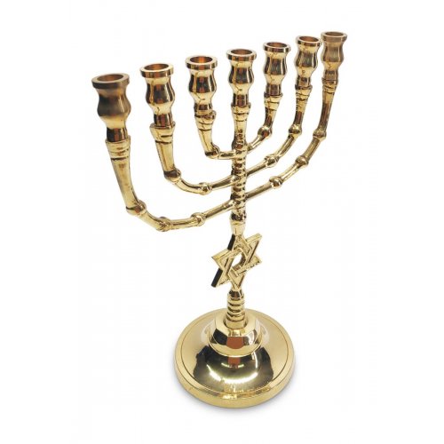 Seven Branch Menorah, Gleaming Gold Brass with Star of David on Stem - 10