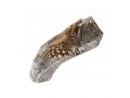 Seven Branch Menorah Sterling Silver Yemenite Shofar