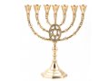 Seven Branch Menorah of Gold Colored Brass with Framed Star of David  10