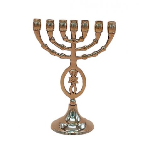 Seven Branch Menorah with Fish and Star of David, Brass Gold  8 Inches Height