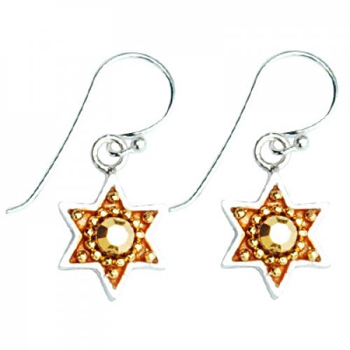 Silver Earrings with Star of David by Ester Shahaf