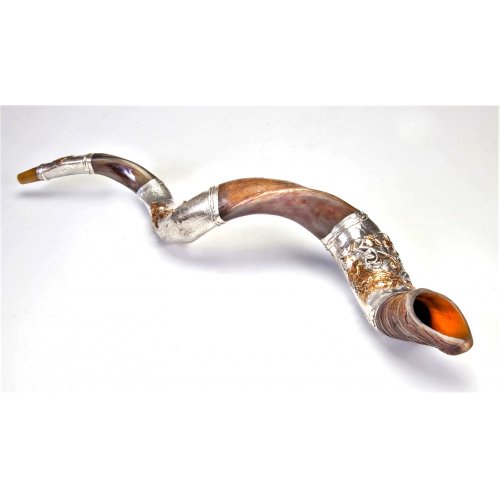Shofar Trumpets for Sale, Kudu and Ram's horn Shofars.