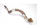 Silver Yemenite Shofar - Temple in Jerusalem