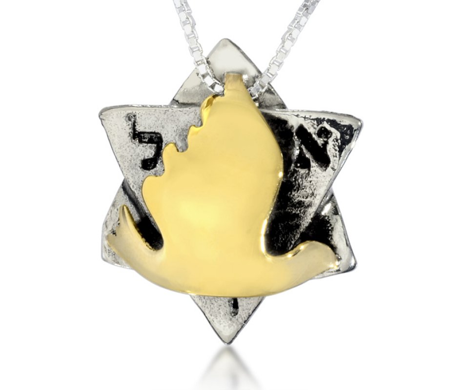Silver-Gold Dove Star of David Pendant by HaAri Jewelry