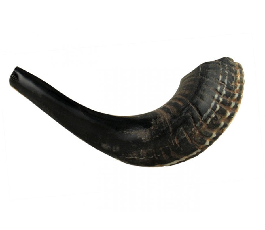 16-17 Kosher Black Rams Horn Polished Shofar by Peer Hastam Made in Israel 