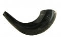 Small Polished Black Rams Horn Shofar