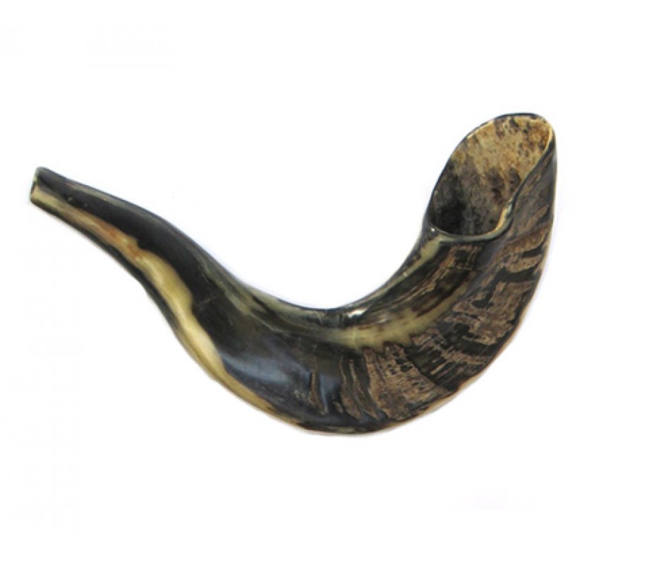 Small Ram's Horn Shofar for Kids - Dark Colors