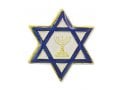 Star of David Blue & White Lapel Pin