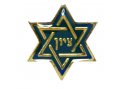 Star of David Zion Lapel Pin