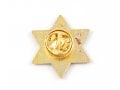 Star of David Zion Lapel Pin