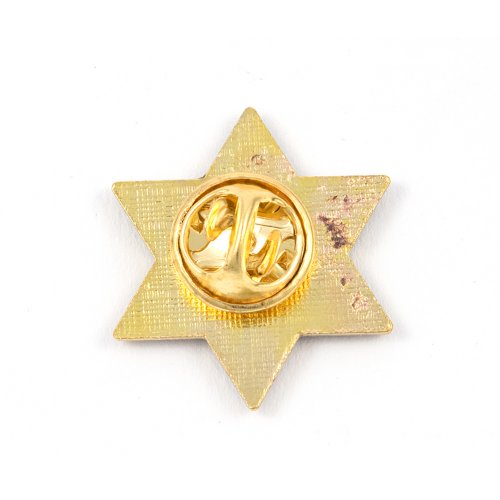 Star of David Zion Lapel Pin