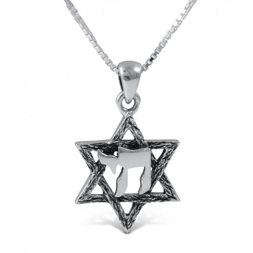 Star of David with Hebrew Chai, 925 Sterling Silver Pendant Necklace