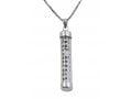 Sterling Silver Mezuzah Necklace Pendant with Chain