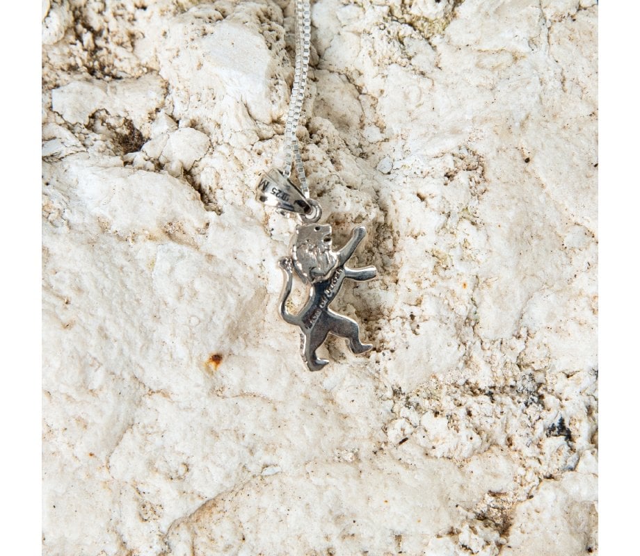 Sterling Silver Pendant Necklace - Roaring Lion of Judah
