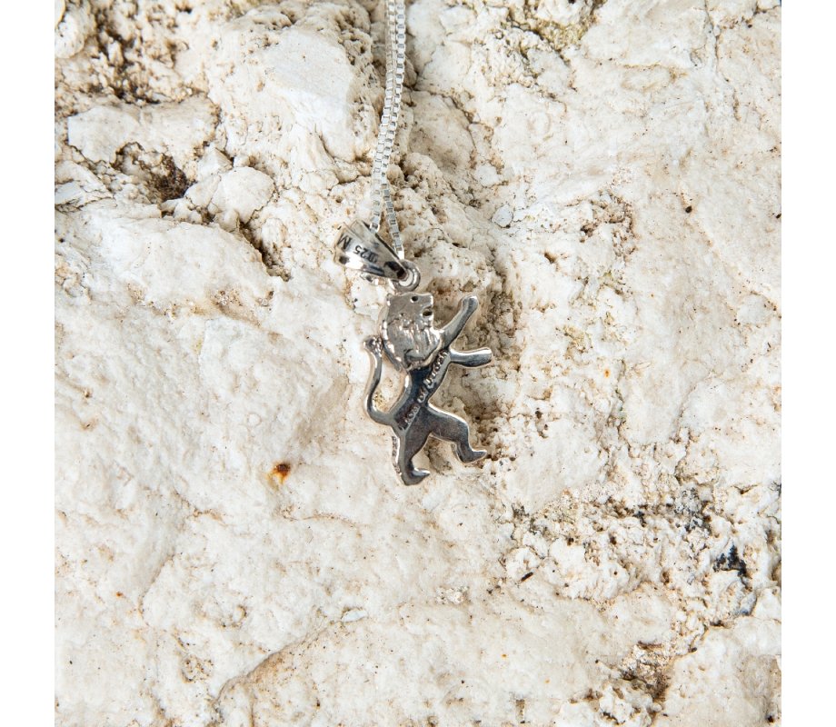 Sterling Silver Pendant Necklace - Roaring Lion of Judah