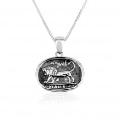 Sterling Silver Pendant Necklace, Lion of Judah on Black