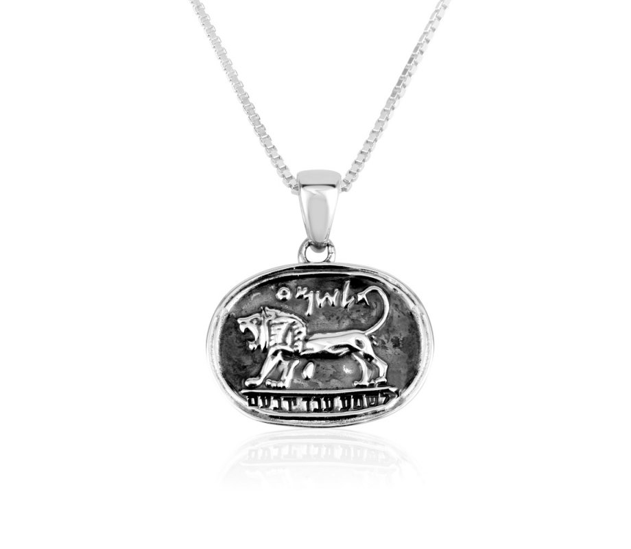 Sterling Silver Pendant Necklace, Lion of Judah on Black