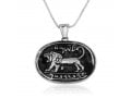 Sterling Silver Pendant Necklace, Lion of Judah on Black - Ancient Megiddo Seal