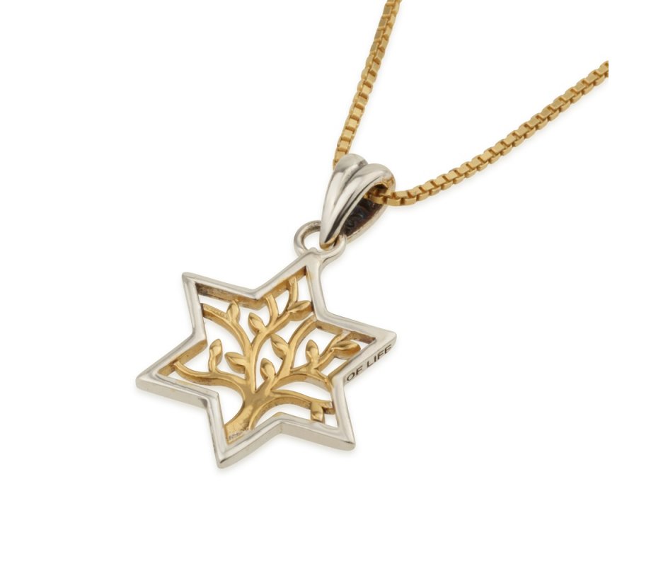 Sterling Silver Pendant Necklace, Star of David Encloses Gold Plated Tree of Life