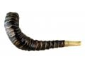 Stunning Leather-bound Ram's Horn Shofar