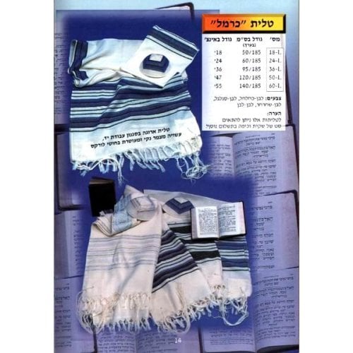 Talitnia Carmel Tallit Prayer Shawl