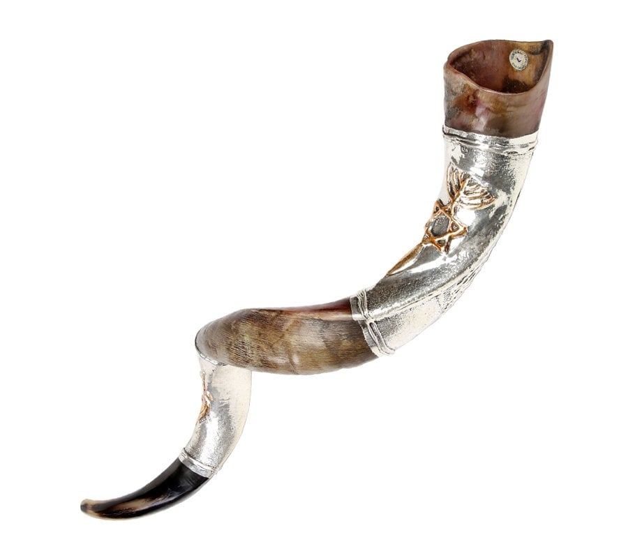 Temple Menorah Star of David Silver Yemenite Shofar