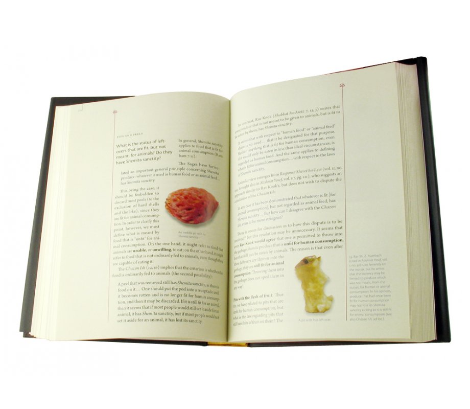 The Comprehensive Shemita book in English