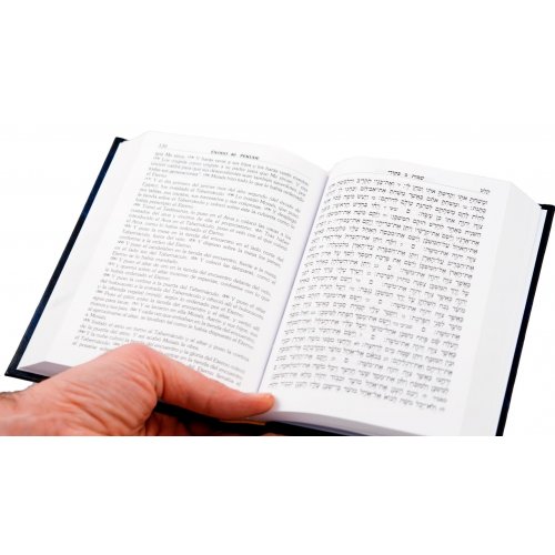Torah with Spanish Translation - Hardback Volume with Haftorot